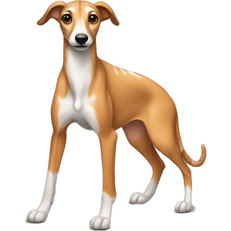 Fawn tiger greyhound sitting emoji