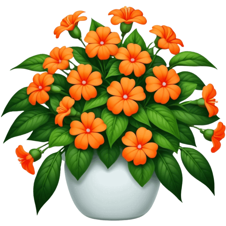 big bouquet Orange Impatiens, luxuriant, stem, leaf emoji