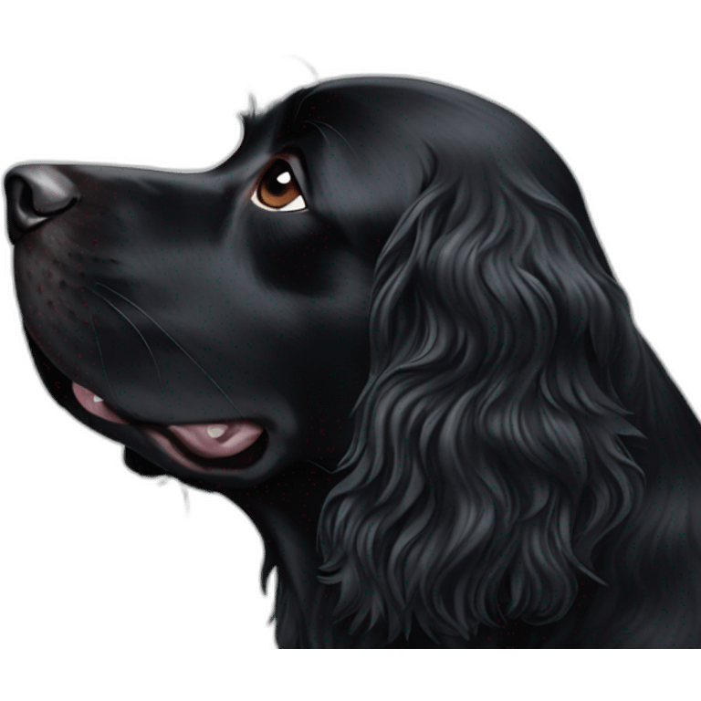 Black spaniel kiss emoji