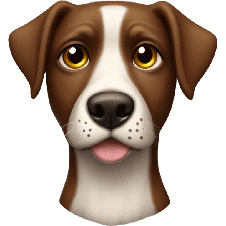 Kleiner münsterländer dog head brown with caramel colored eyes emoji