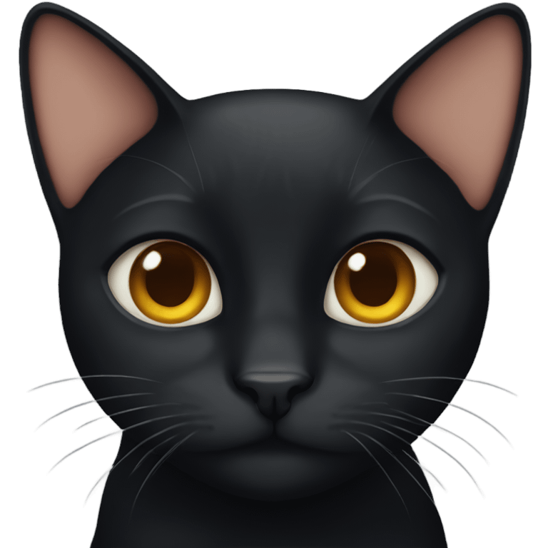 Black cat with ginger eyebrow emoji