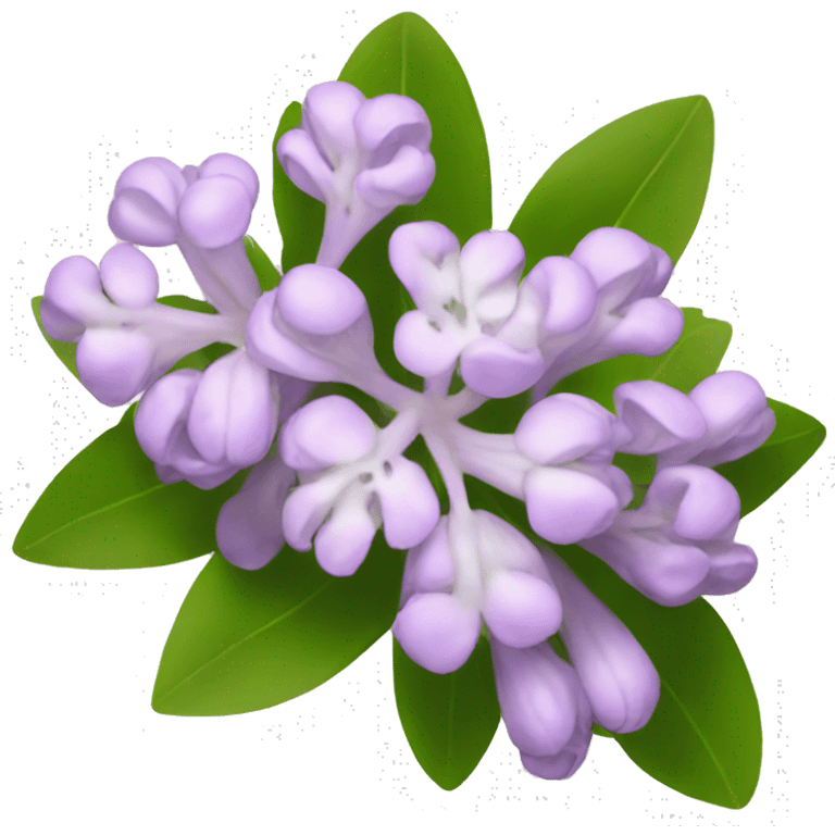 mountain laurel flower emoji