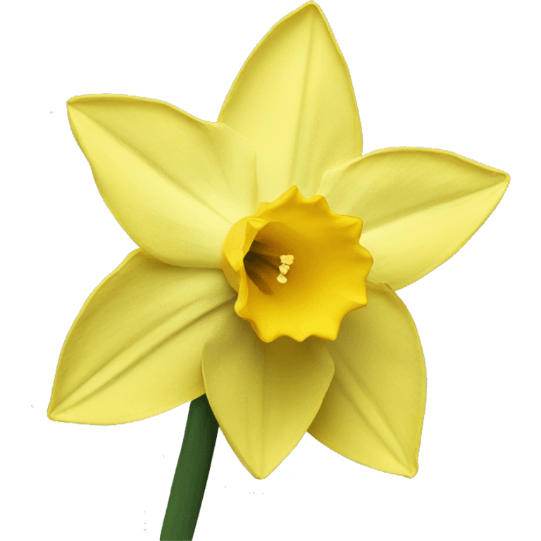 Daffodil  emoji