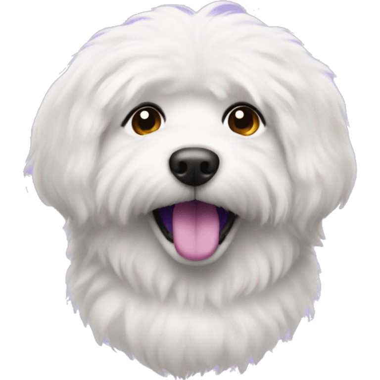 white fluffy dog with a purple collor emoji