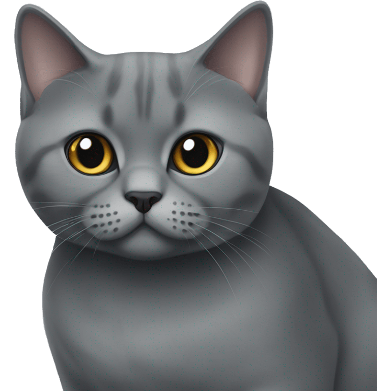 british shorthair black and grey cat emoji