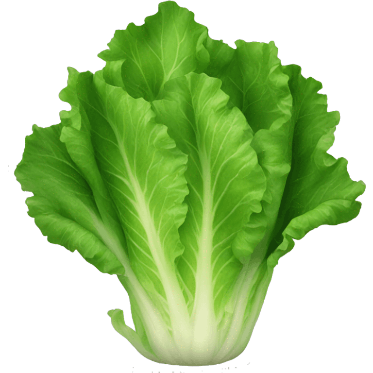 lettuce emoji