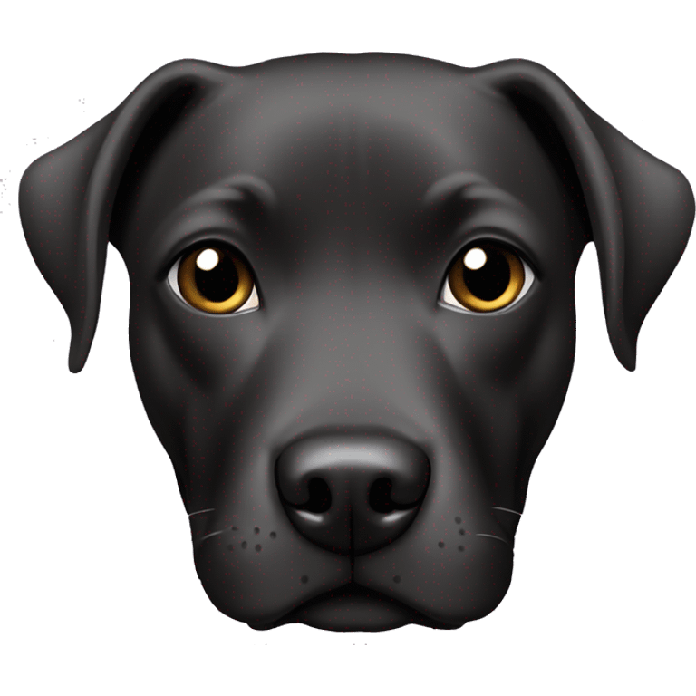 black lab pitbull mix dog emoji