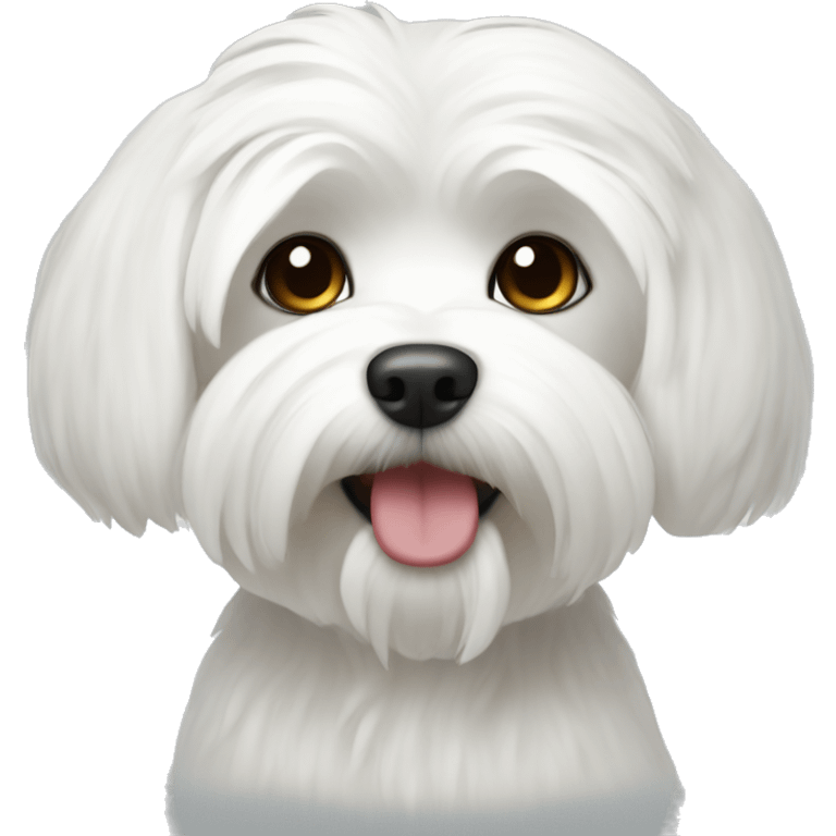 White maltese emoji