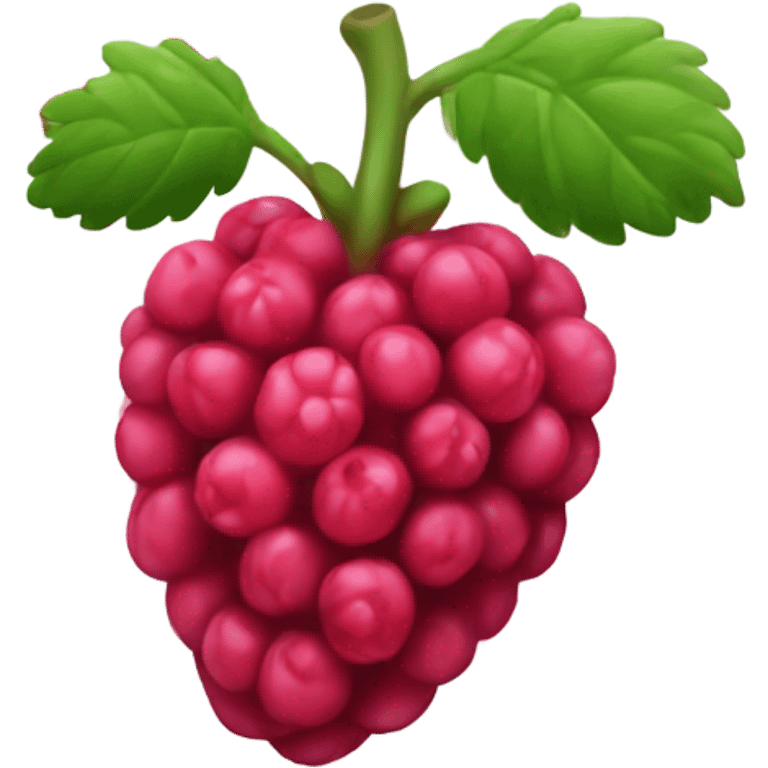 Rasberry emoji