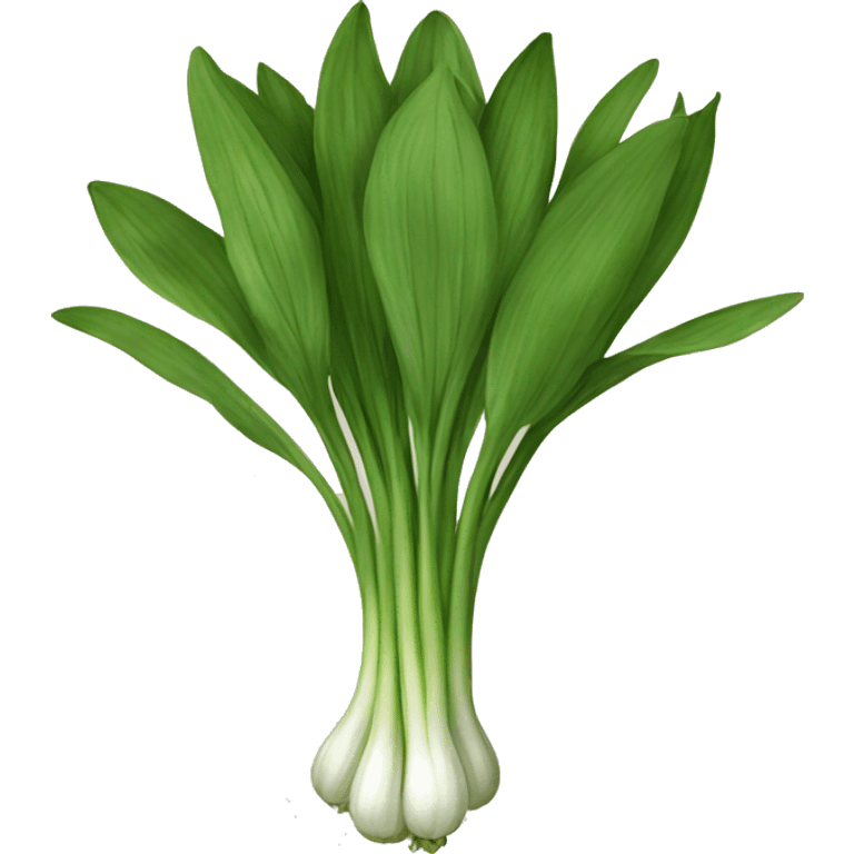 wild garlic emoji