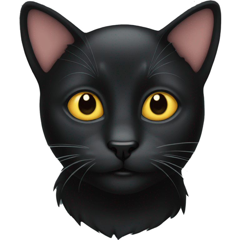 A Black cat emoji