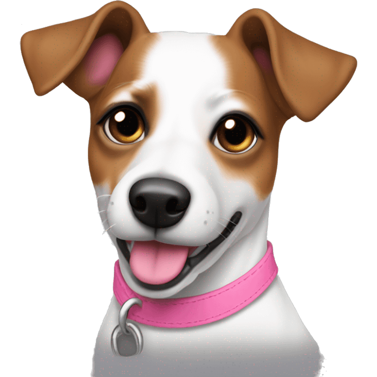 Jack Russel with single brown eye patch and pink collar  emoji