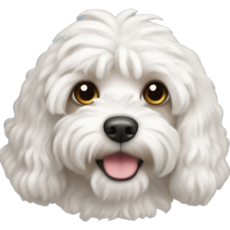 White Cavapoo  emoji