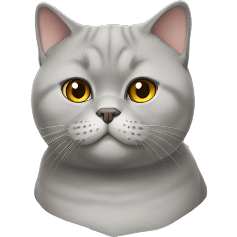 British_shorthair cat,half body emoji