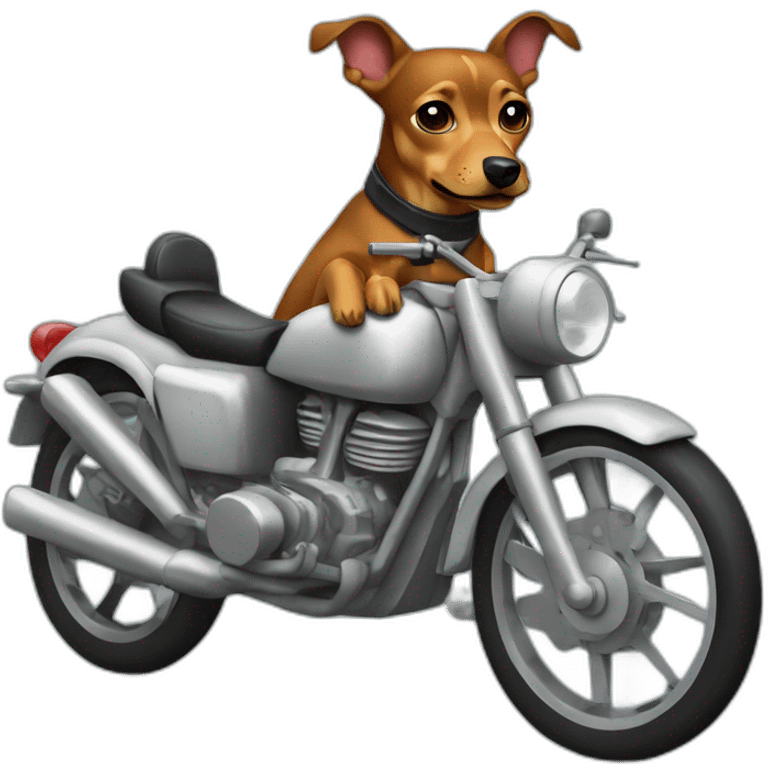 a caramel dog pinscher wearing basket uniform and driving a moto emoji