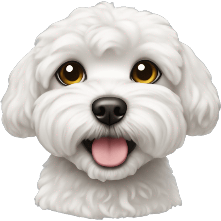 Petit chien bichon maltais emoji