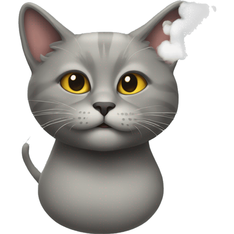 cat with smoke emoji