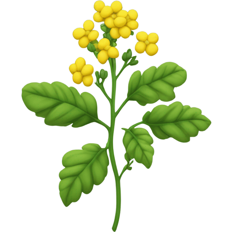 Rapeseed plant  emoji