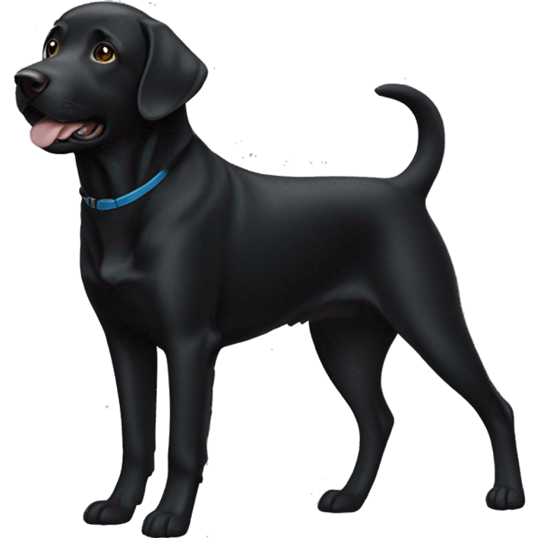 Black labrador dog emoji