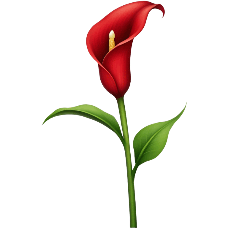 single Red Calla Lily, straight stem emoji