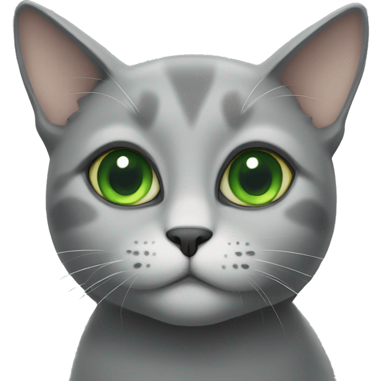 green eyed grey cat emoji