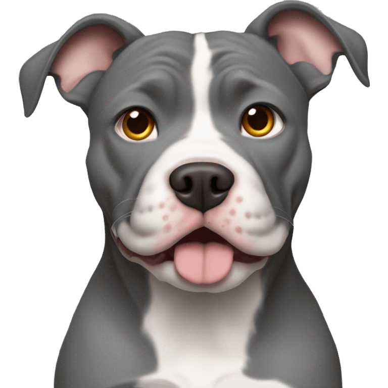 Grey pitbull Planung with a Maine Coon emoji