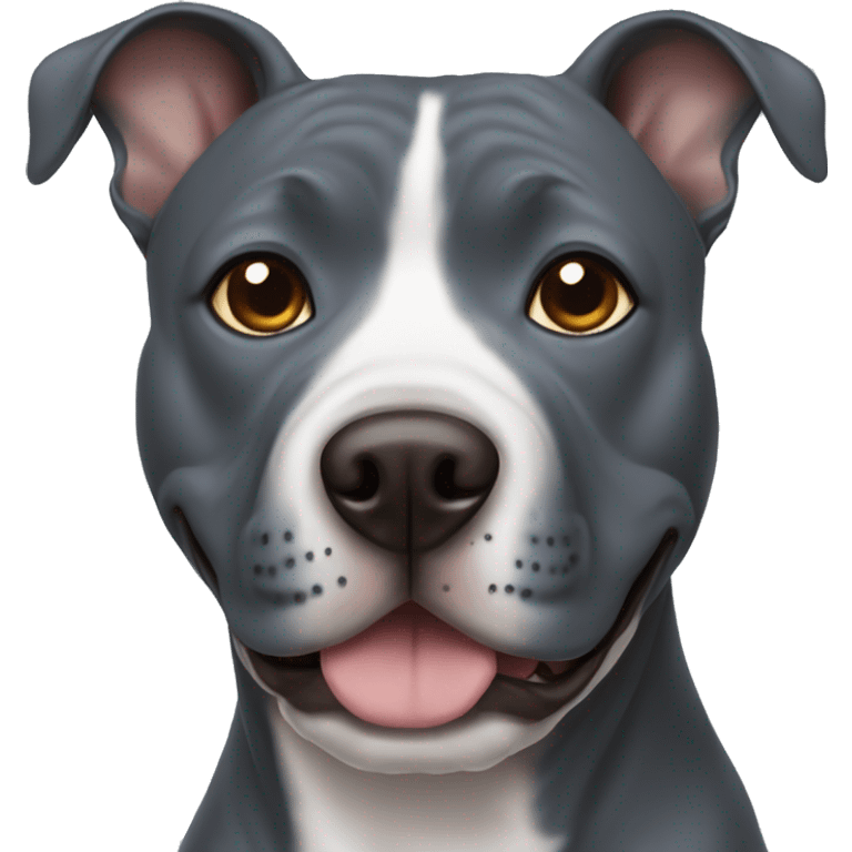 Blue staffy dogs with brown eyes  emoji