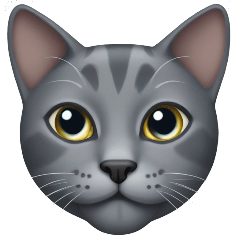 The Grey Cat emoji