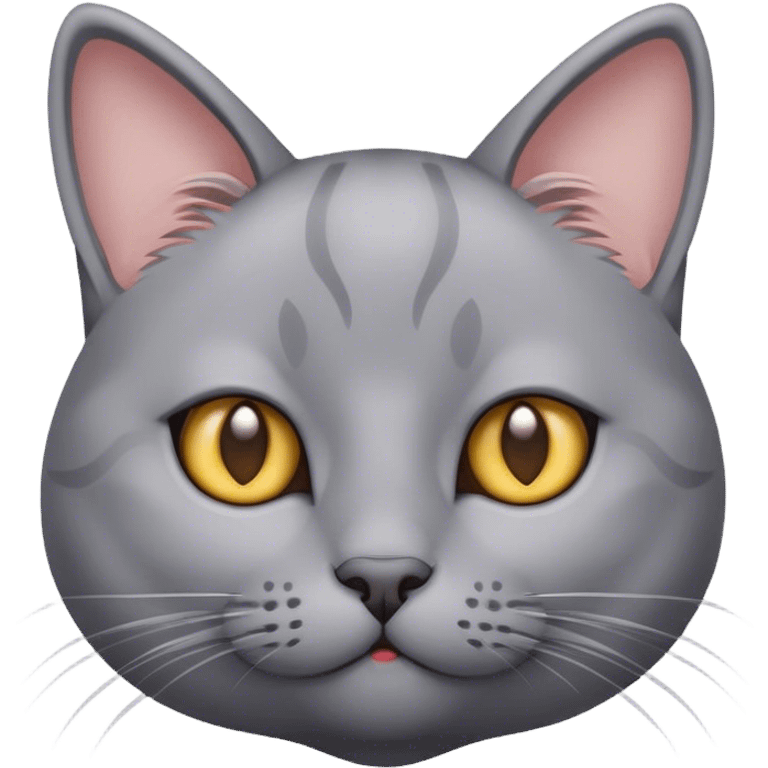 cute grey cat emoji