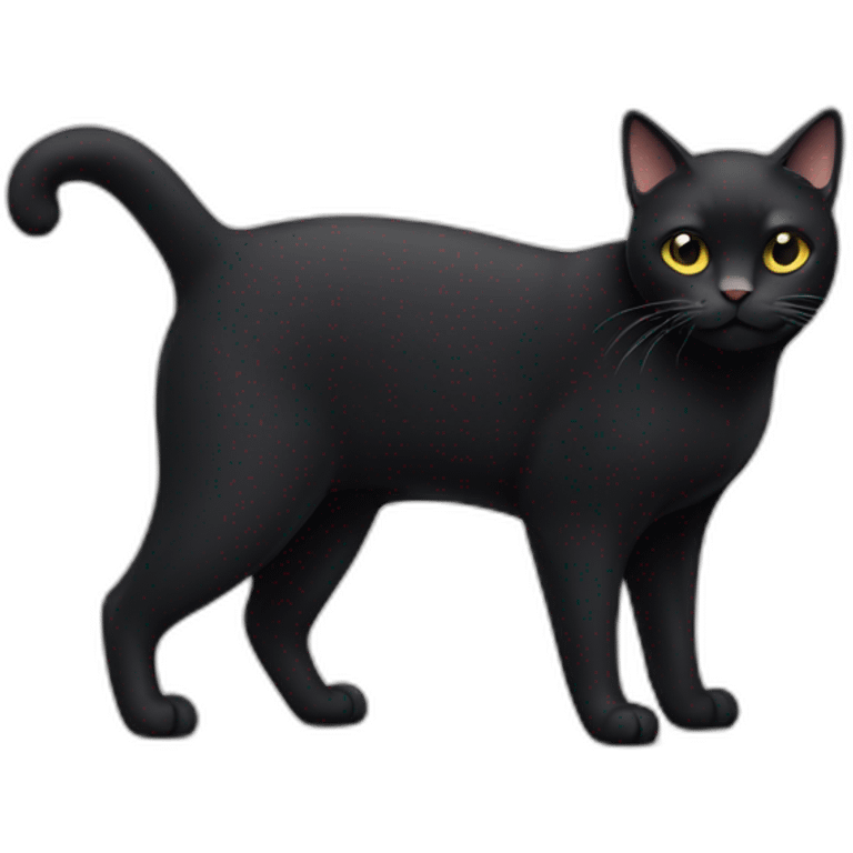 full body fat black cat emoji