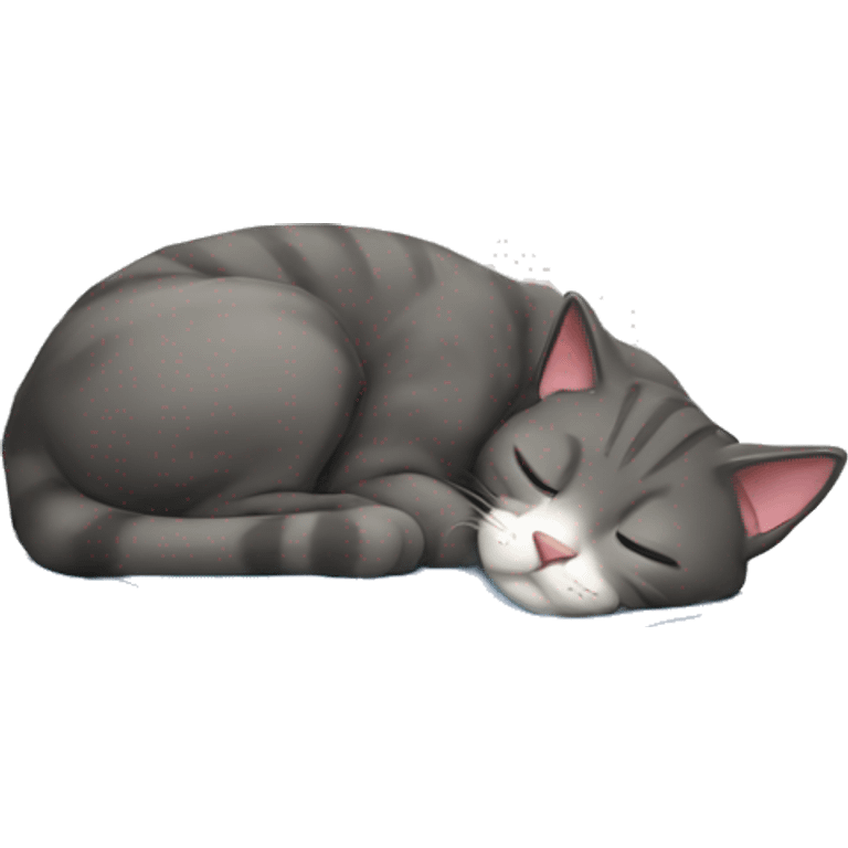 The sleeping cat emoji