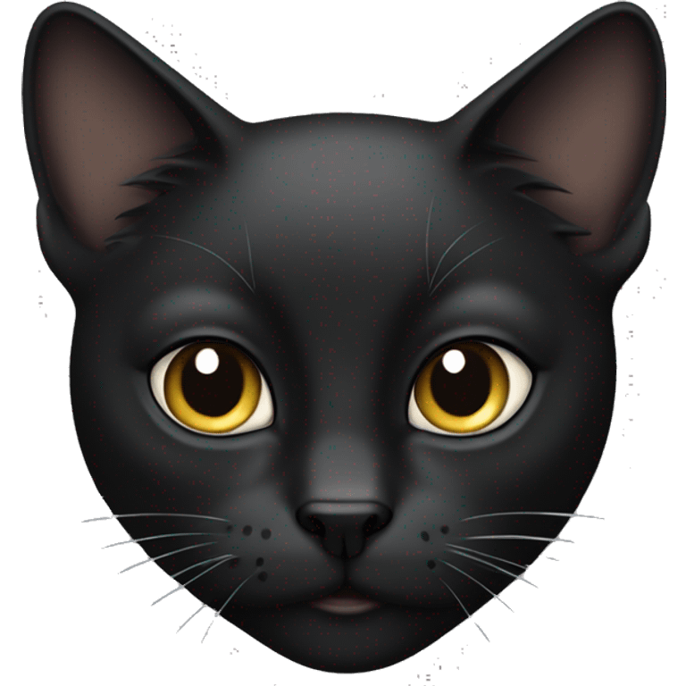 Schwarze Katze (Brust und Gesicht, also kein Ganzkörper) emoji