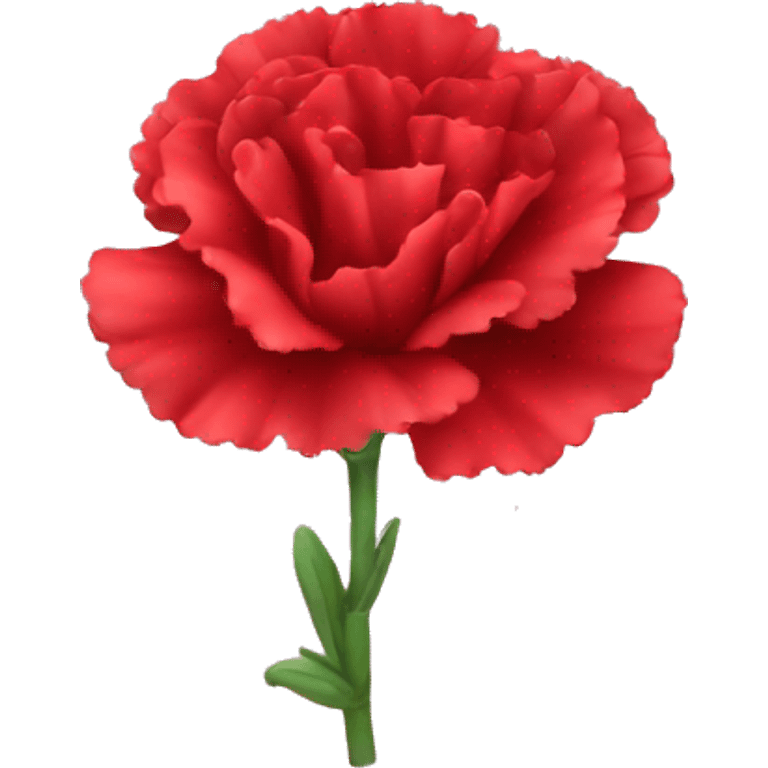 red Carnation flower emoji