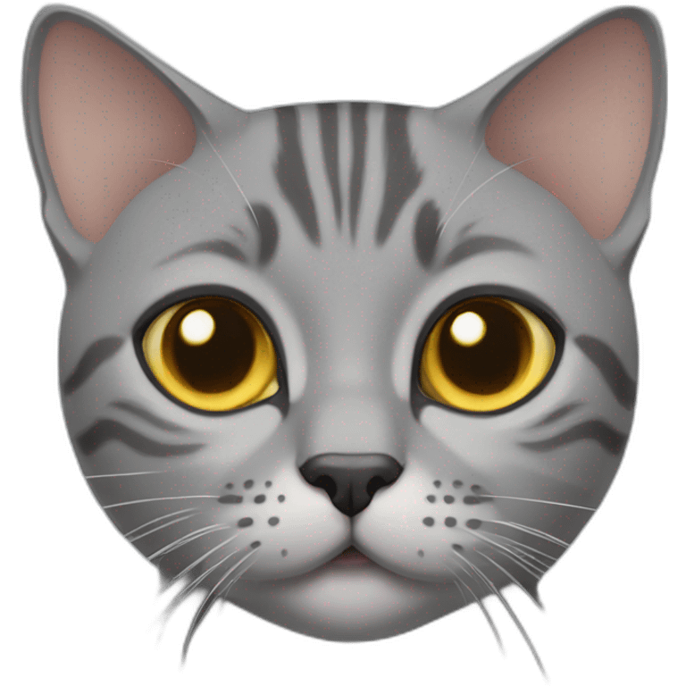 Grey britsh shorthair cat emoji