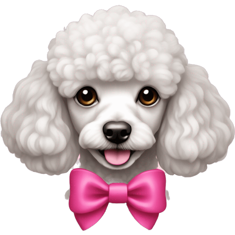 Mini poodle con un lazo rosado emoji