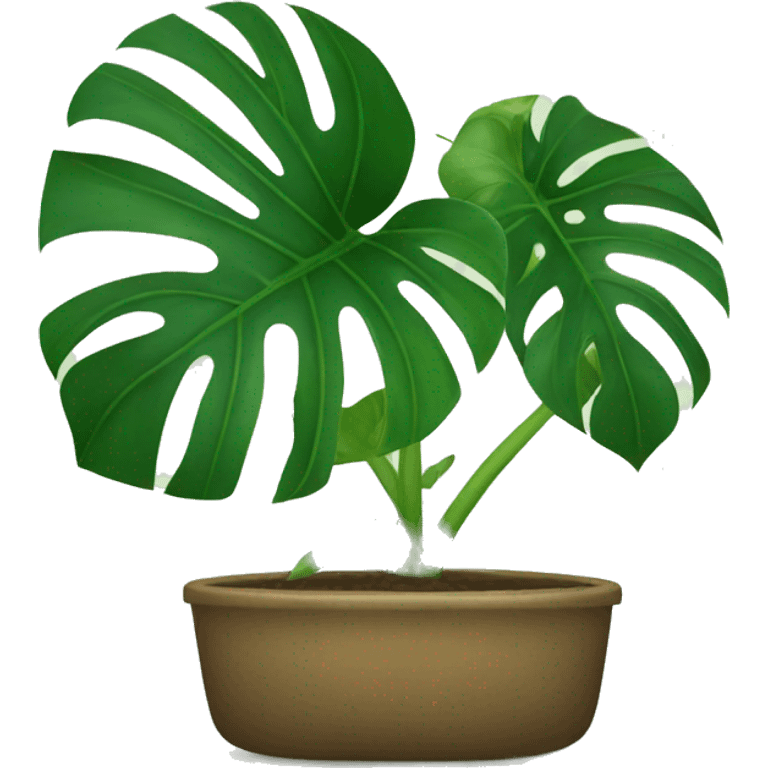 Monstera deliciosa emoji