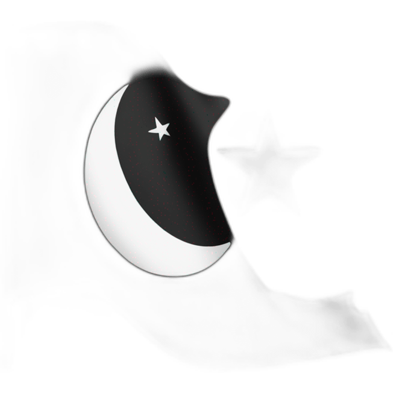 Black Islamic flag emoji