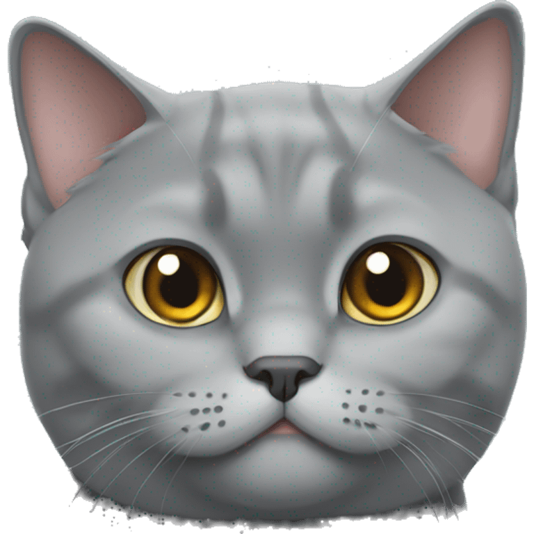 British shorthair grey cat emoji