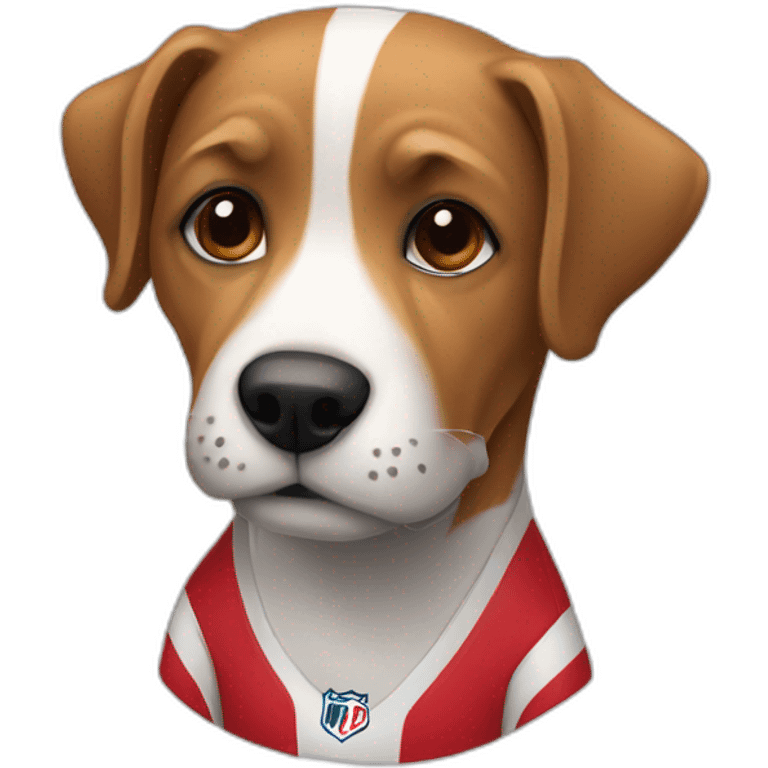 a dog with a LOSC jersey emoji