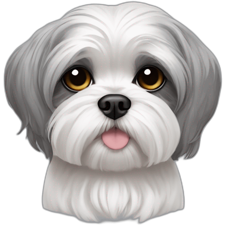 maltese-shih tzu -sleepy - grey ears emoji