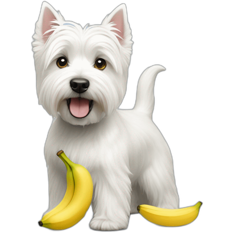 West Highland White terrier with small banana emoji