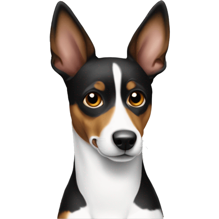 Black and white basenji with pointy ears  emoji