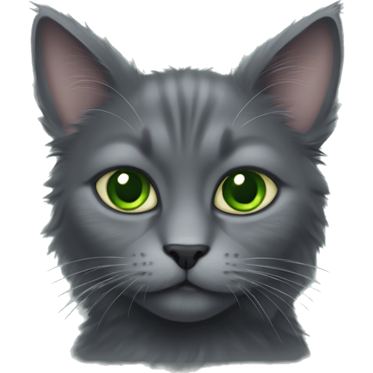 dark fluffy grey cat green eyes large emoji