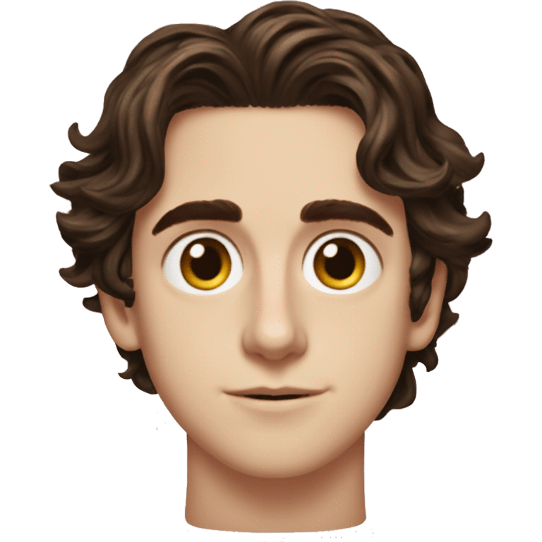 Timothée Chalamet in Lady Bird emoji