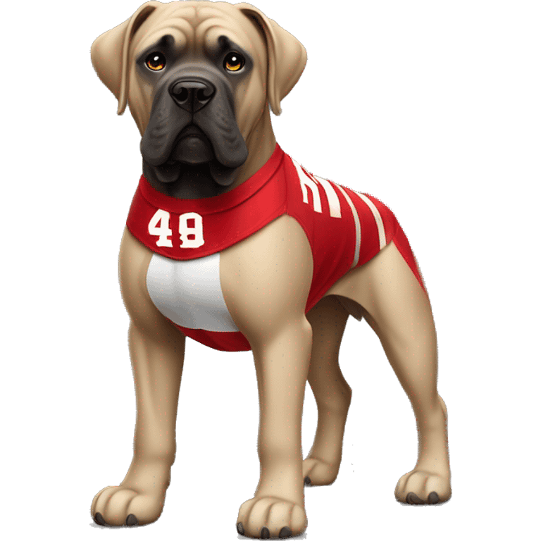 cane corso with 49ers jersey emoji