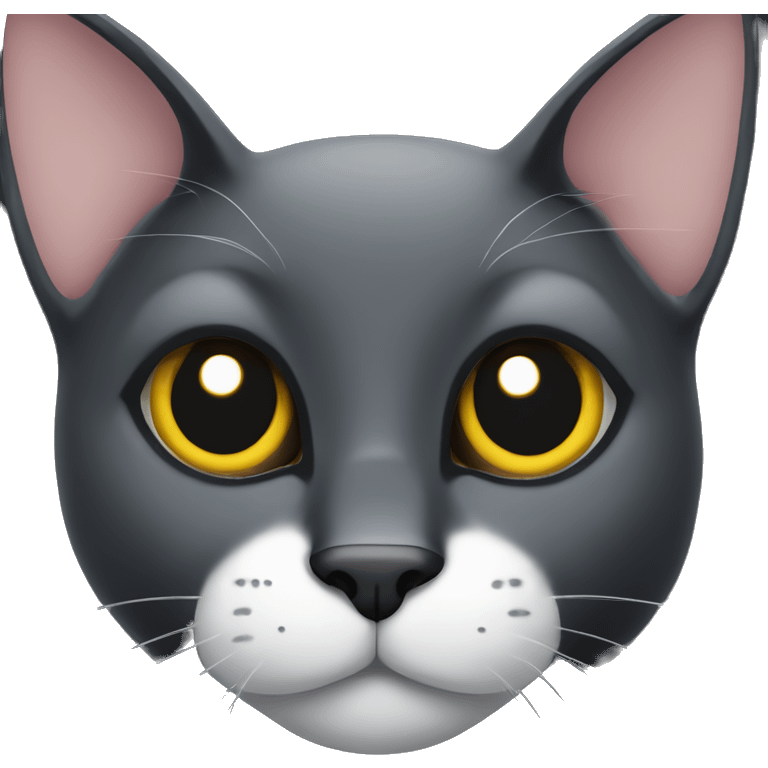 Black cat sitting with white Spot  emoji