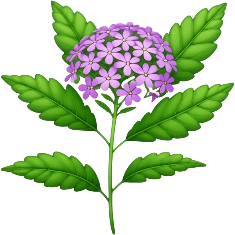 big single verbena flower, leaf emoji