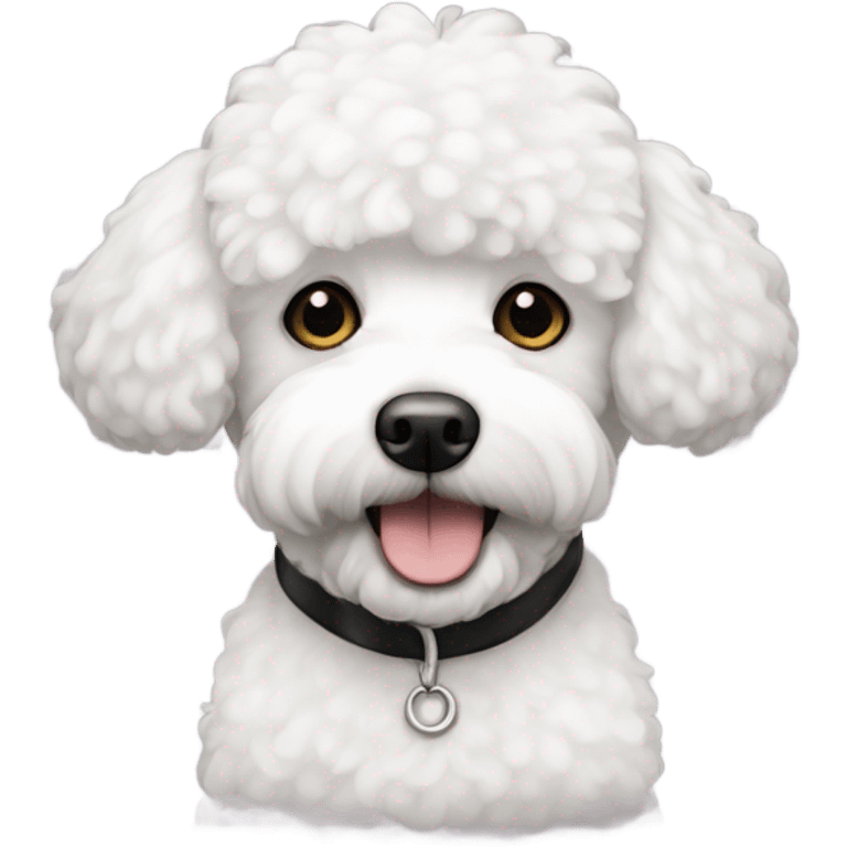 White and black bichon and poodle mix emoji