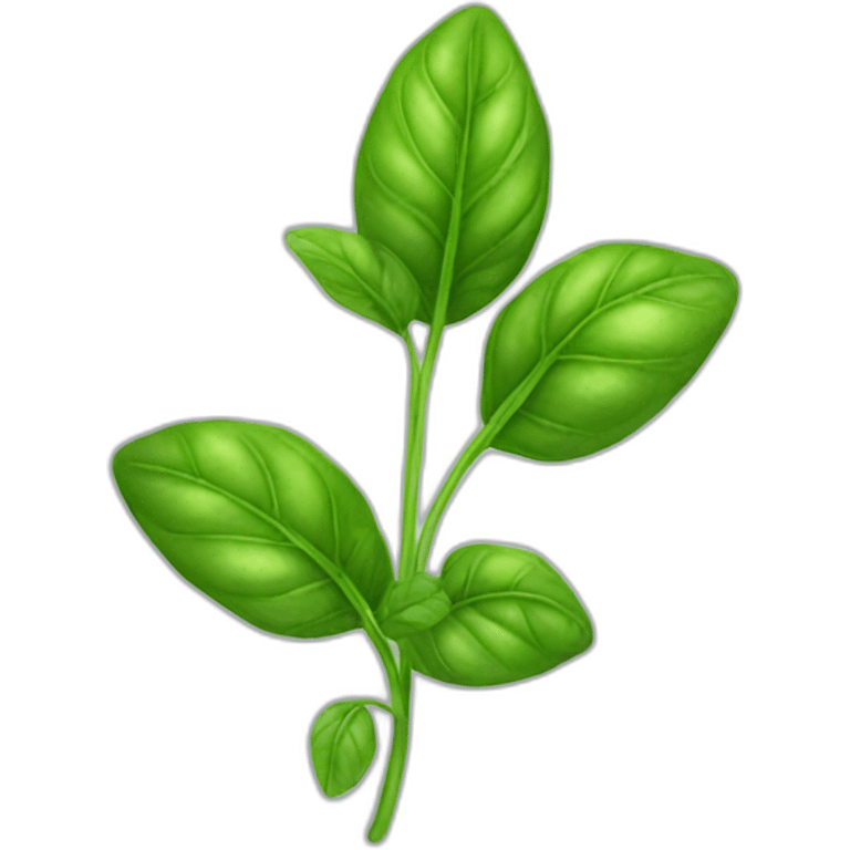 basil plant leaf emoji