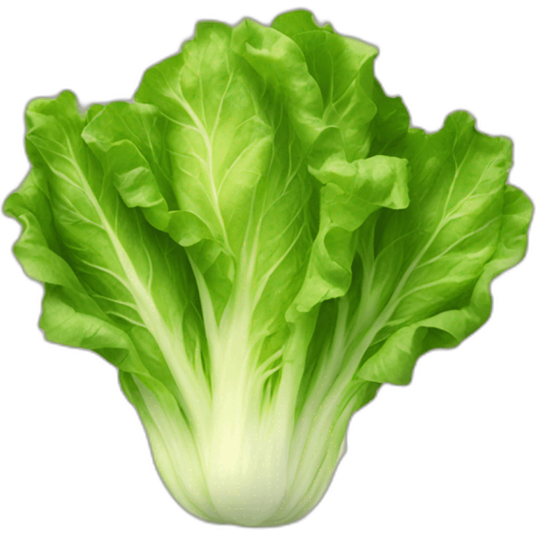 lettuce emoji